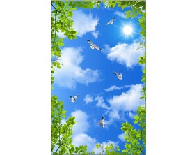 蓝天白云绿叶鸽子