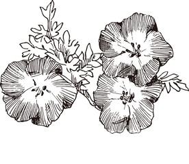 矢量花朵植物桃花线稿手绘