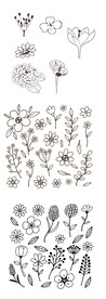 矢量花朵手绘线稿插画