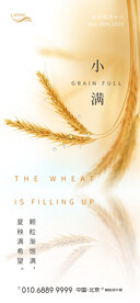 金色小麦倒影小满节气海报