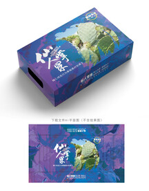 仙人掌果包装 
