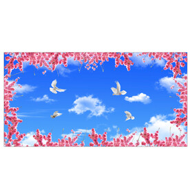 蓝天白云樱花鸽子