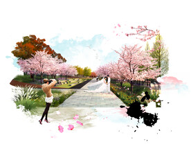 水墨风樱花婚礼