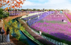 花海 薰衣草