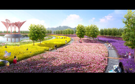 公园花海
