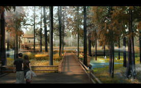 湿地水杉林秋景