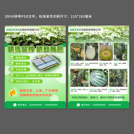 西瓜苗宣传单页设计