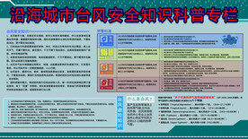 台风安全知识展板
