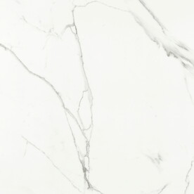 爵士白 鱼肚白高清大理石瓷砖
