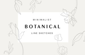 手绘植物线条花卉