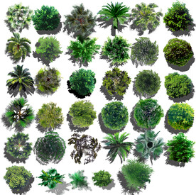 植物平面高清彩平素材PSD