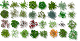 植物平面高清彩平素材PSD