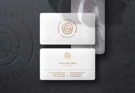 简约高端平面样机