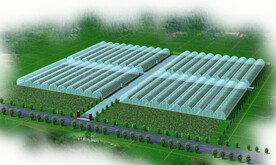 设施农业示范区