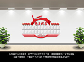党员风采文化墙