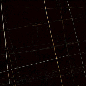 黑金花 金龙黑高清瓷砖设计