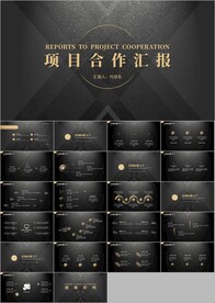 企业项目合作公司合作项目ppt