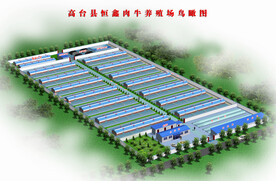 养殖场效果图