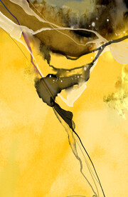 装饰画 晶瓷画 抽象画