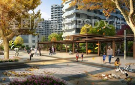 梧桐秋季公园广场