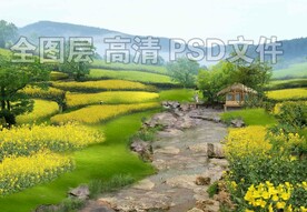 山坡油菜花田溪流