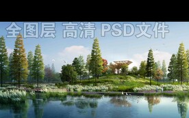 水杉芦苇荡湿地公园