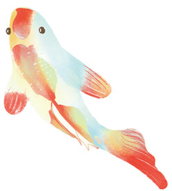 手绘水彩锦鲤