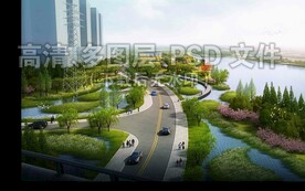 湿地水生植物芦苇水杉