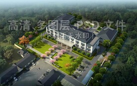 办公楼广场绿化