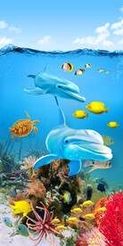 3D海豚玄关过道背景墙