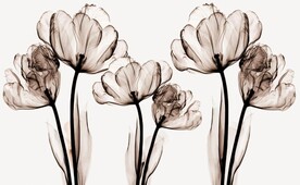 J1607 透明花 吉祥拼 