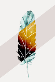 装饰画 抽象画 羽毛