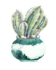 装饰画 抽象画 盘栽仙人掌