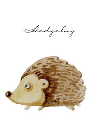 装饰画 抽象画 刺猬