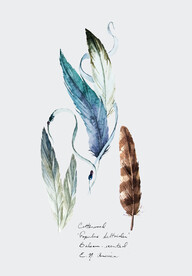 装饰画 抽象画 羽毛