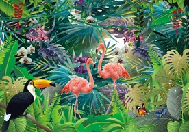 火烈鸟 热带雨林 鹦鹉 芭蕉 