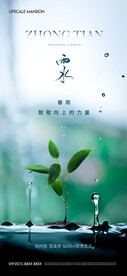 雨水海报