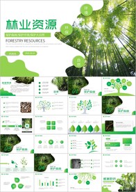 森林湿地环境保护生态林业ppt