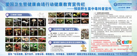 健康教育宣传栏预防野生菌中毒