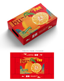 丑橘包装