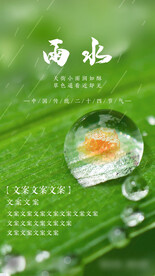 二十四节气雨水产品习俗海报