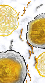 装饰画 晶瓷画 金鱼