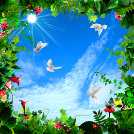 蓝天白云软膜天花