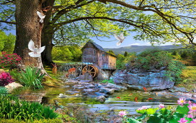 大树森林风景画