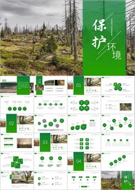 节约能源保护环境ppt