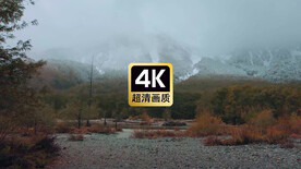 湿地远山丛林河流美景