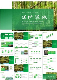 湿地环境保护生态森林业ppt