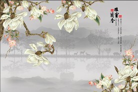 玉兰 山水  小路 倒影 小河