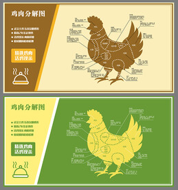 鸡肉分解图