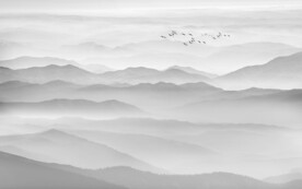 新中式电视背景墙